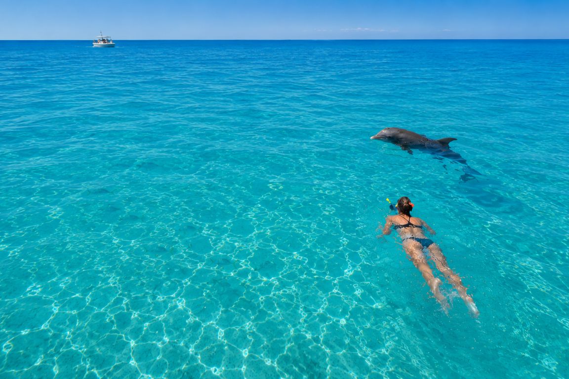 Atlantic bottlenose dolphins in Turks and Caicos