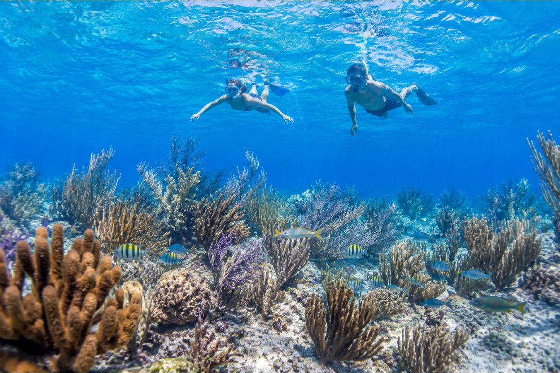 Snorkeling the reef in Turks and Caicos