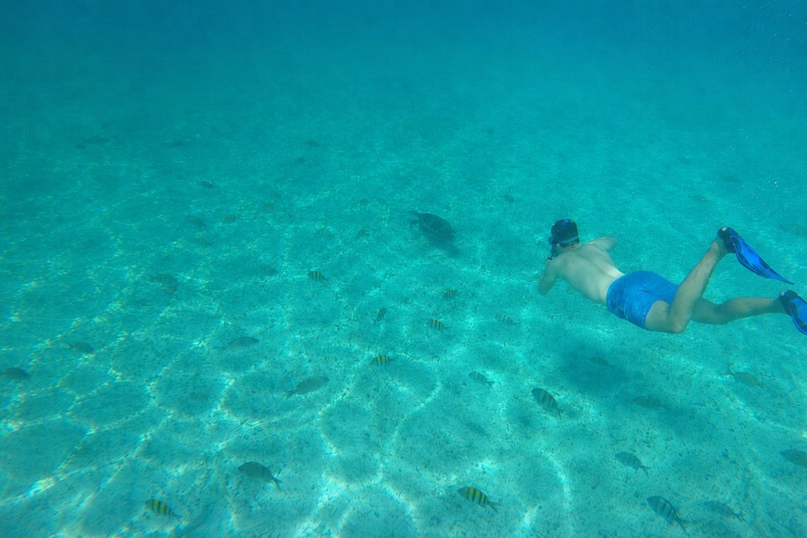 Snorkeling the reef in Turks and Caicos