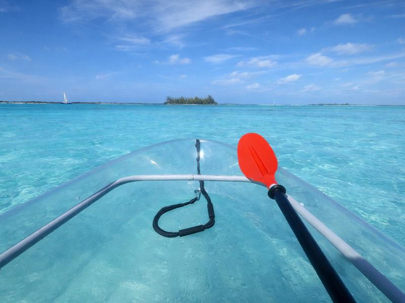 Best Mangrove & Iguana Clear Kayak Experience