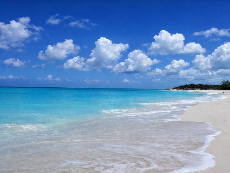 Grace Bay Snorkeling Half-Day Group Tour – 4 Hours of Reef Magic