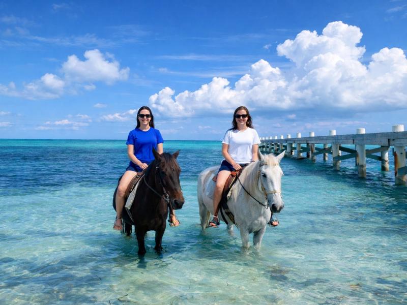 Turks & Caicos Private 60-Min Horseback Beach Ride
